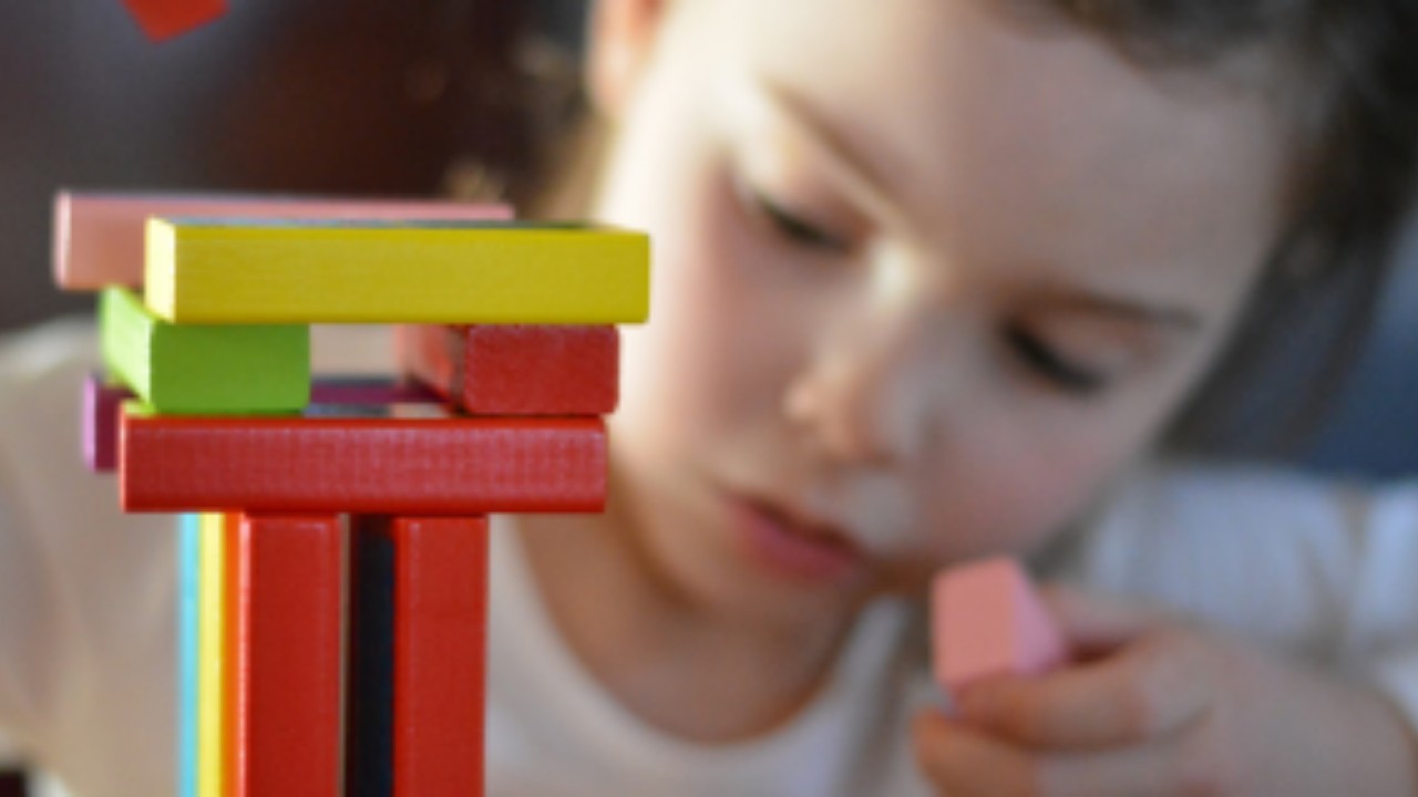 Neuropedagogia – Noções Básicas